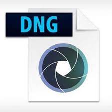 Adobe DNG Converter logo