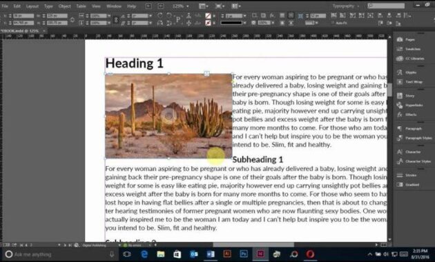 Adobe InDesign CC 2017 Direct Link Download windows