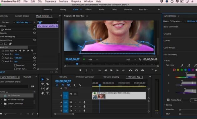 Adobe Premiere Pro CC 2020 Free Download 2