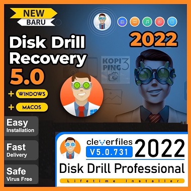 Disk Drill Professional 2022 Review