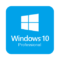 Windows 10 Professional icon