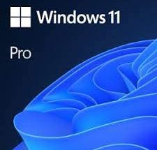 Windows 11 Professional 64 bit ISO Image
